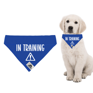 Set of leash sleeve and bandana - IN TRAINING