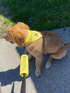 Manchon de laisse SOUTIEN AUTISME pour Chien d'assistance