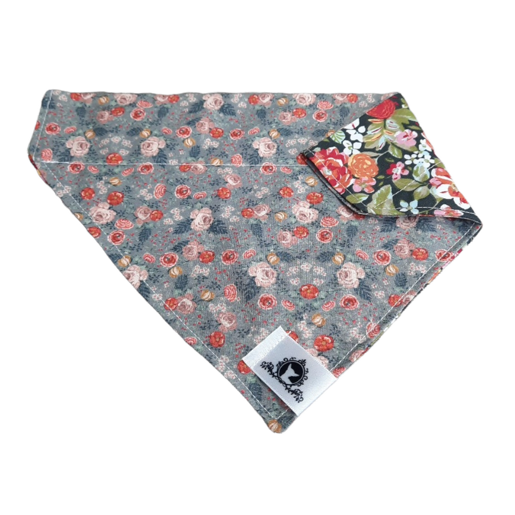 Foulard 2 en 1 pour grand chien - TS024