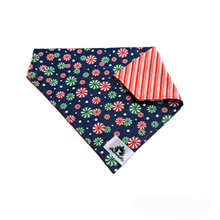 Charger l&#39;image dans la galerie, Foulard 2 en 1 pour grand chien pour Noël - N024
